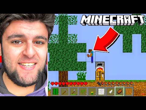 Minecraft მაგრამ 2D -ში გადარჩენა!